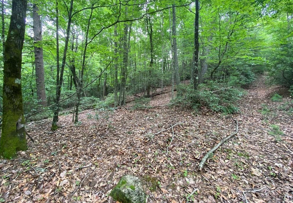 Lot 139 Breakaway Trail