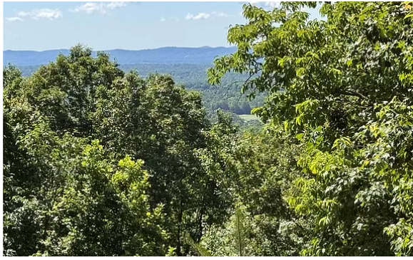 Lot 201 Meadow Crossing Road
