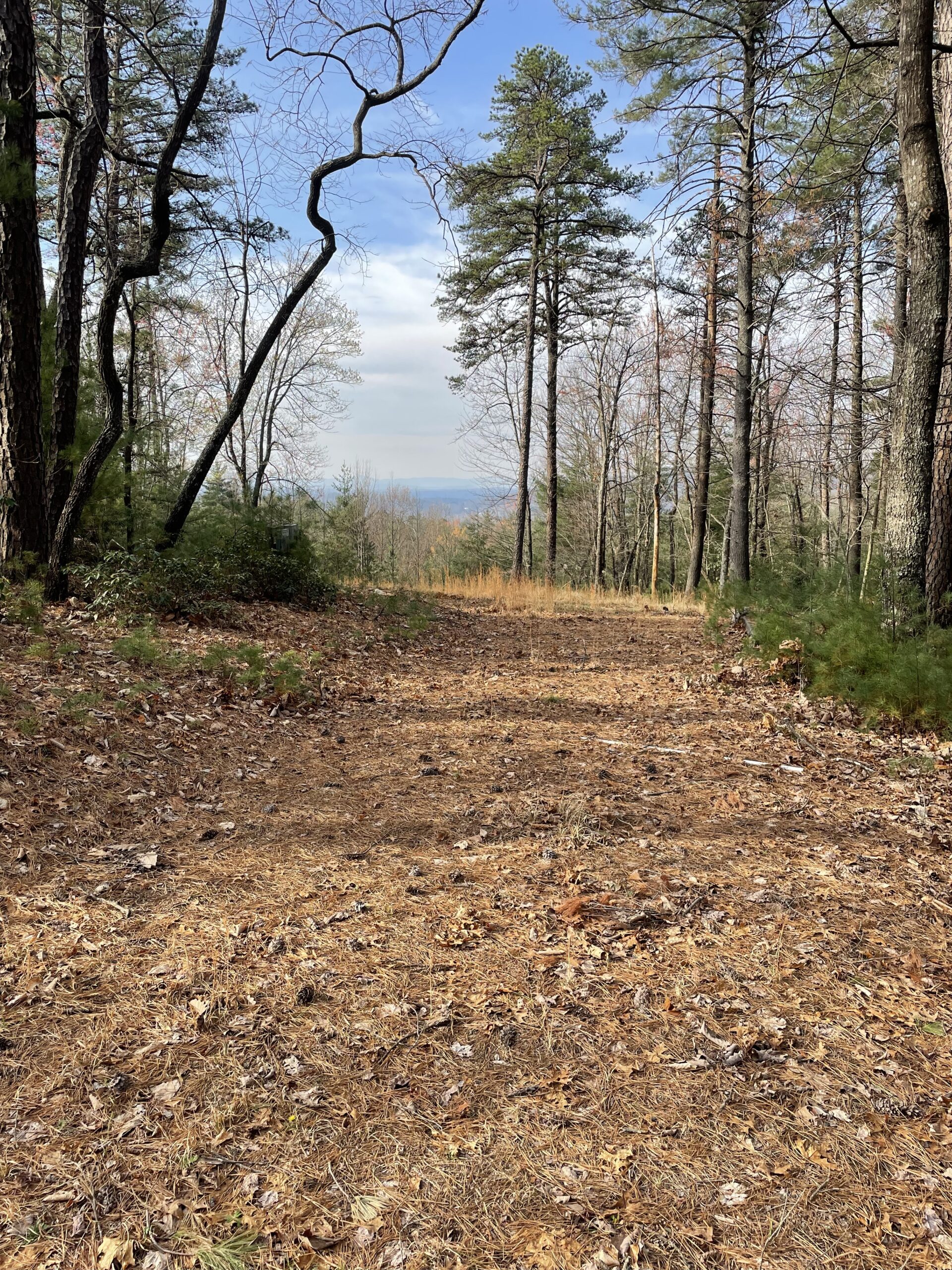 Lot 192 Blazing Ridge Road