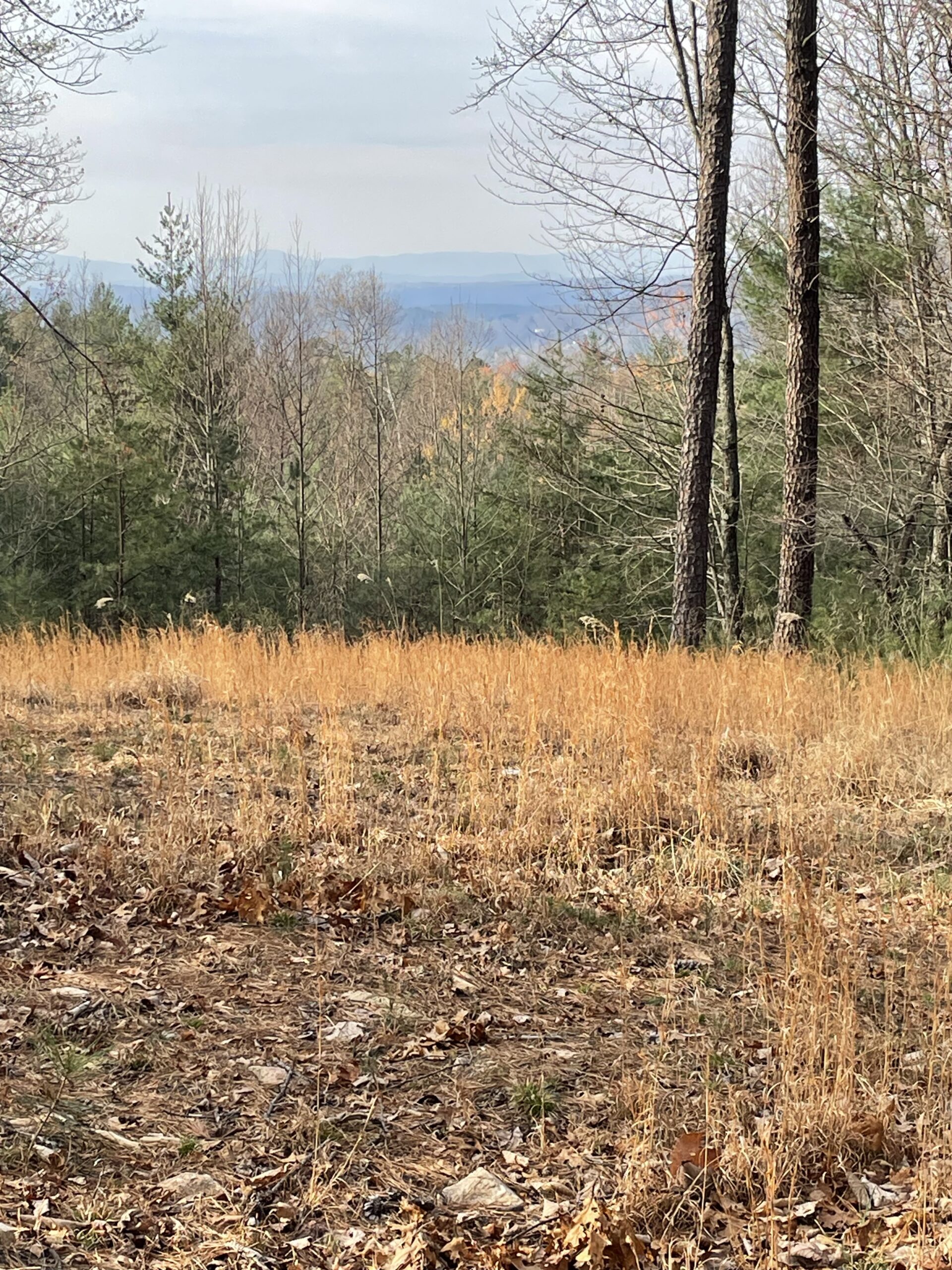 Lot 222 Lakeside Drive