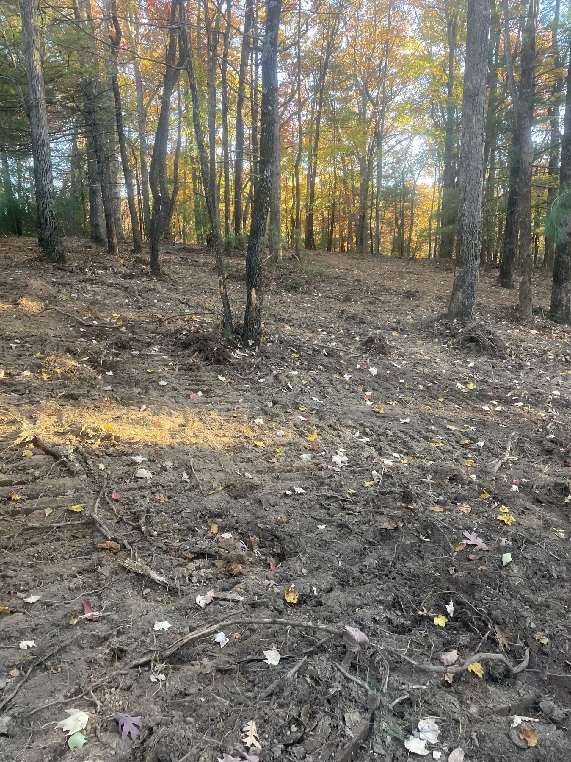 Lot 214 Lakeside Drive