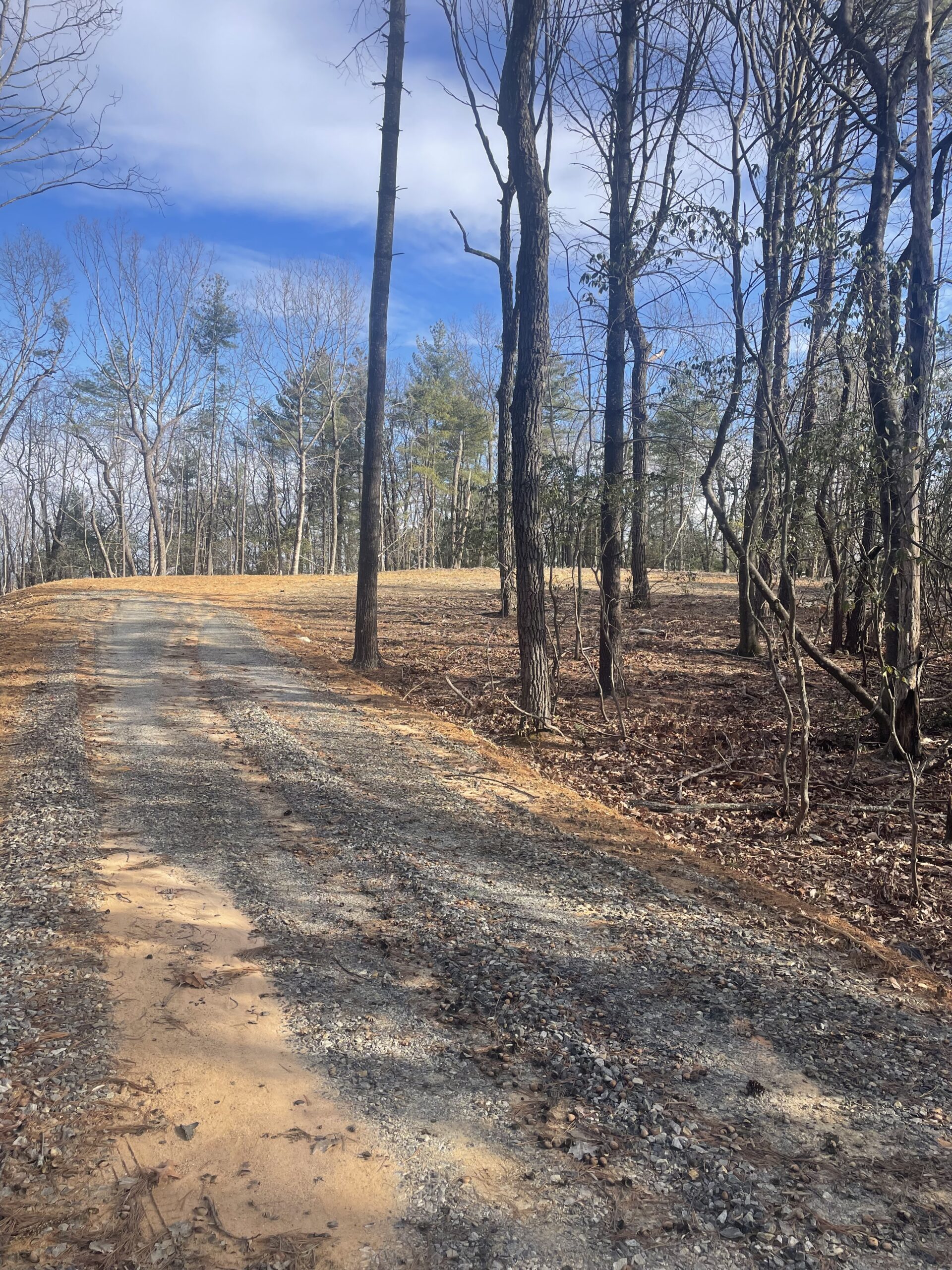 Lot 54 Chestnut Mountain Farms Parkway